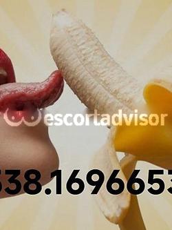 Escort 3381696653