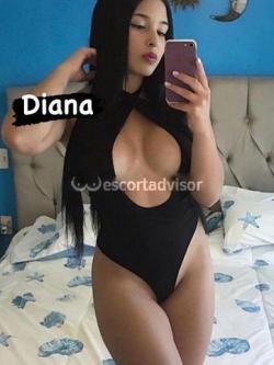Escort 3246249785