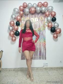 Trans 624016299