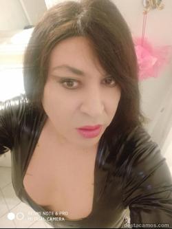 Trans 623412805