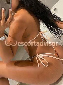 Escort 3802389160