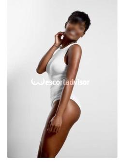 Escort 3757811177
