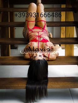 Trans 3931666486