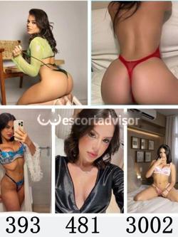 Escort 3934813002