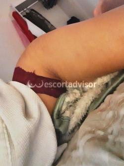 Trans 3883070315