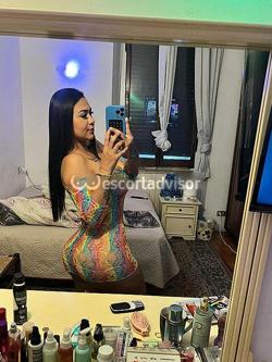Escort 3532170768