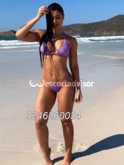 Escort 3246260034