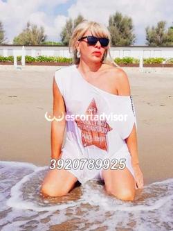 Trans 3920789925