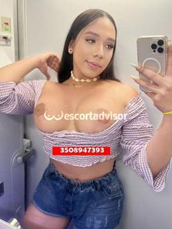 Trans 3508947393