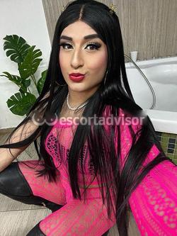 Trans 3272911352
