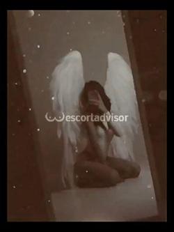 Escort 3203585785