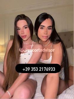 Trans 3532176933