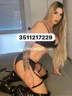 Trans 3511217229