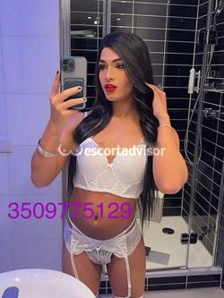 Trans 3509775129