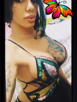 Trans 642236058