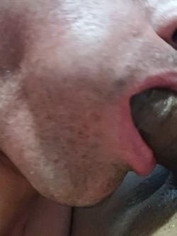 Trans 650986493