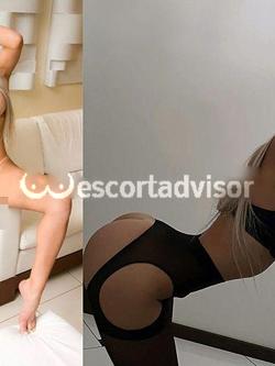 Trans 3488131665