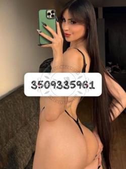 Trans 3509335961