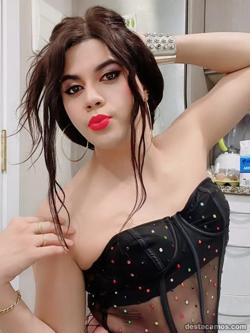Trans 602861582