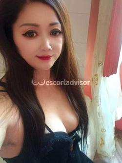 Escort 3806872015