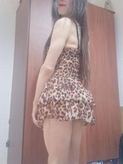 Trans 612486311