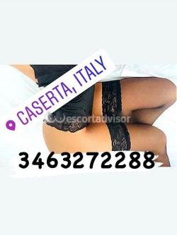 Trans 3463272288