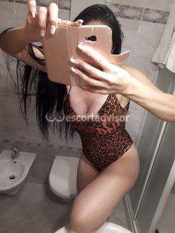 Escort 3476911612