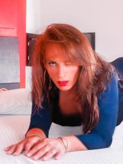 Trans 691557765