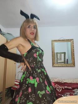 Trans 686399686