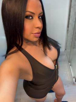 Trans 662477225