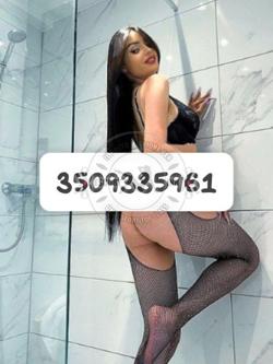 Trans 3509335961