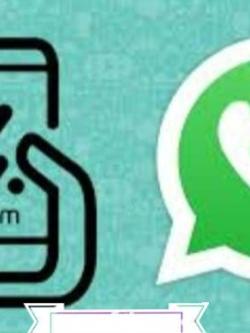 Mujeres 625571190