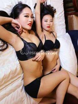 Escort 3242675115