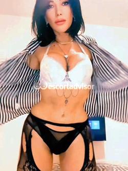 Trans 3801476559