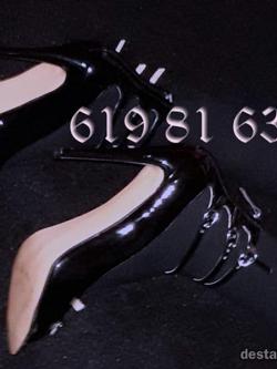 Trans 619816320