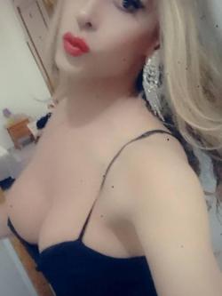 Trans 641904031