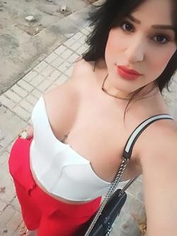 Trans 610477739