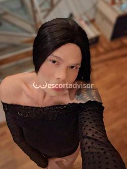 Trans 3508211485