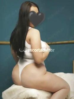 Escort 3935004271