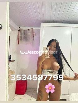 Escort 3534587799