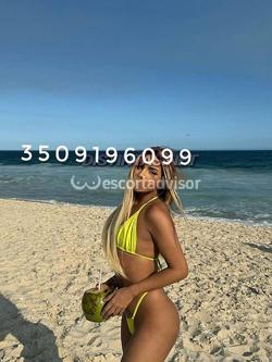 Trans 3509196099