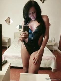Trans 632222013