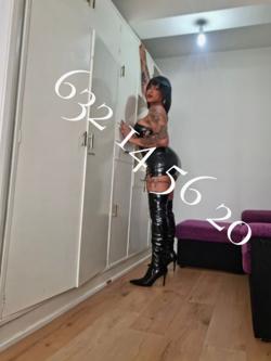 Trans 632145620