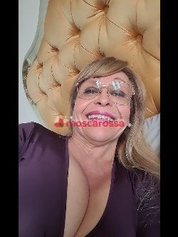 Trans 3317580471