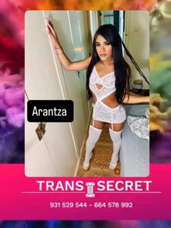 Trans 664578992