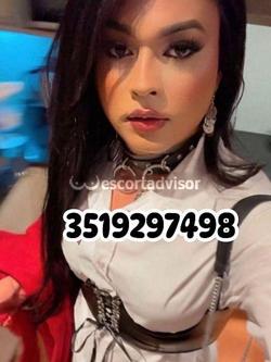 Trans 3519297498
