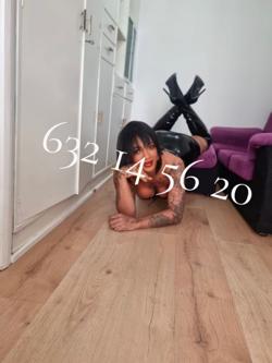 Trans 632145620