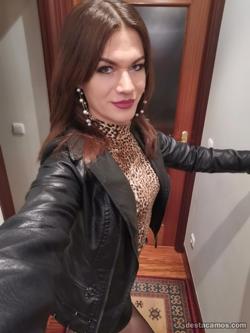 Trans 604115386