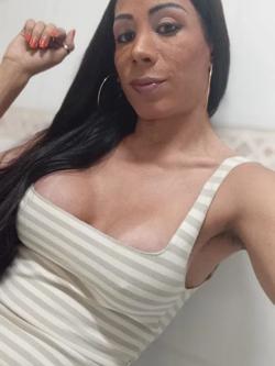 Trans 608562219