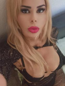 Trans 635366665